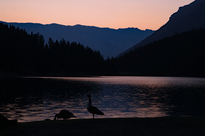 The Sentinel and family
