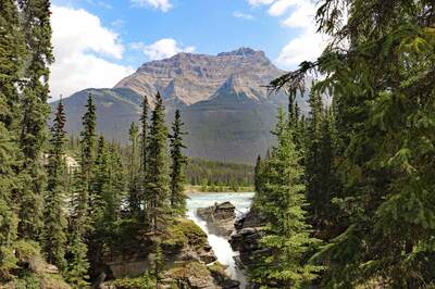 Athabasca Falls
