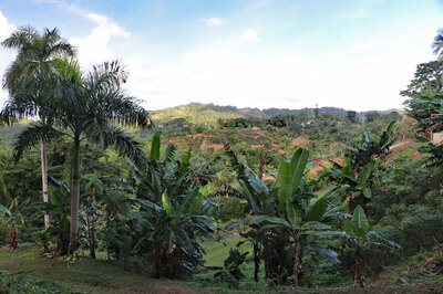PR2023Maricao2.jpg
