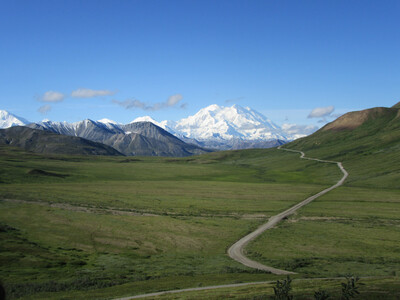 Denali20.jpg