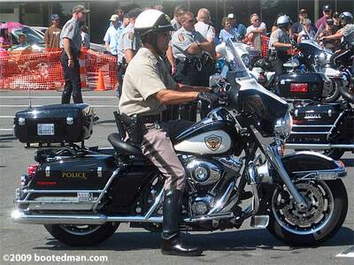 Cops28.jpg