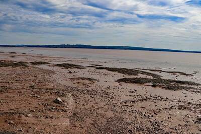 Fundy01.jpg