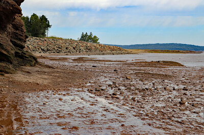 Fundy03.jpg
