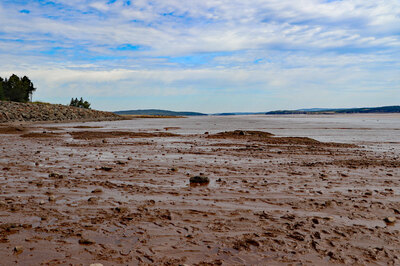Fundy04.jpg