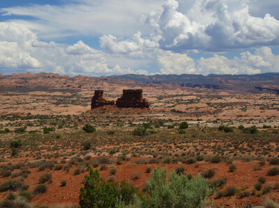 IMG_0470.jpg