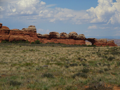IMG_0500.jpg