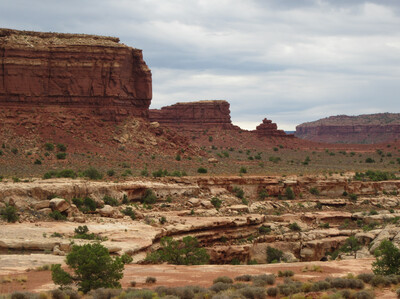 IMG_0526.jpg