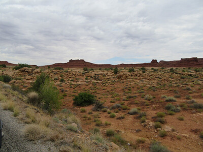IMG_0532.jpg