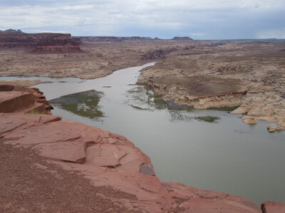 IMG_0557.jpg