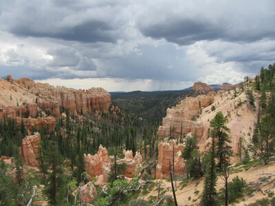 IMG_0717.jpg