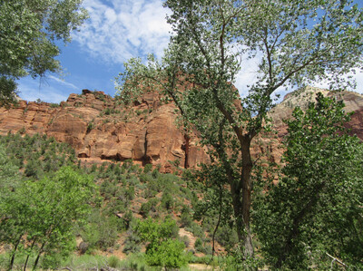 IMG_0766.jpg