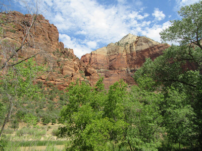 IMG_0767.jpg